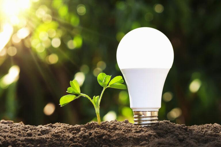 Économies d'Énergie et Durabilité Exceptionnelles​