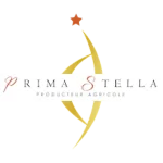 Logo de PRIMASTELLA, client de JB Group.
